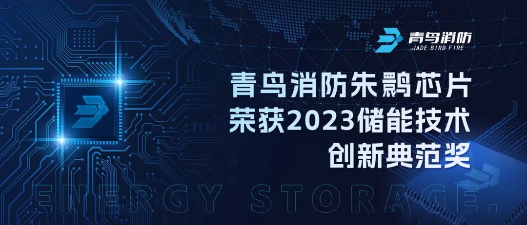 申博官网朱鹮芯片荣获2023储能手艺立异规范奖