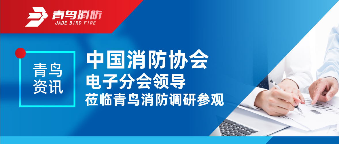 青鸟资讯 | 中国消防协会电子分会向导莅临申博官网调研旅行